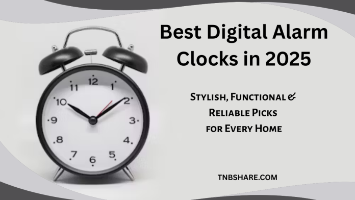 Clocks_TNBS