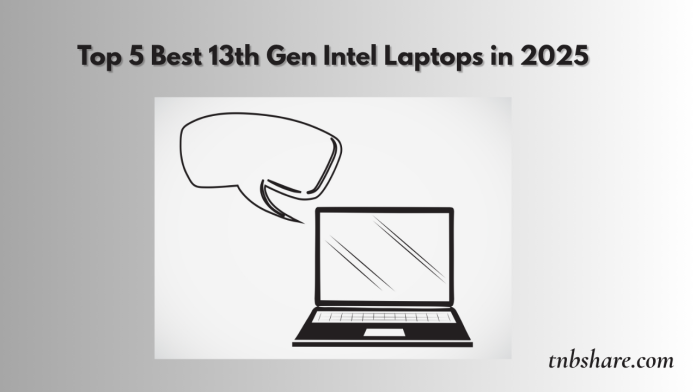 Laptops_TNBs